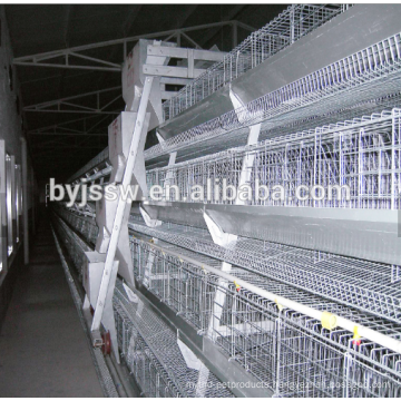 Ethiopia Layer Chicken Farm Poultry Equipment For Sale